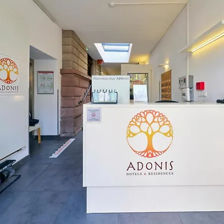 酒店 斯特拉斯堡阿多尼斯酒店 3*