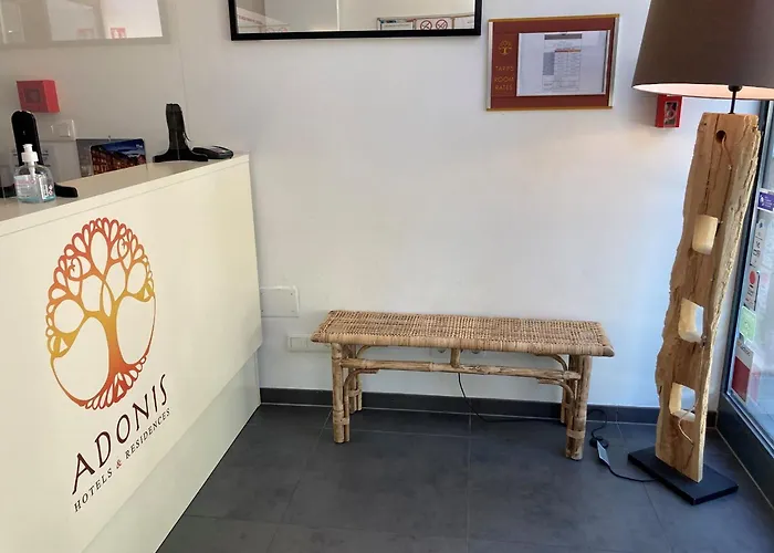 Adonis Hotel Straatsburg